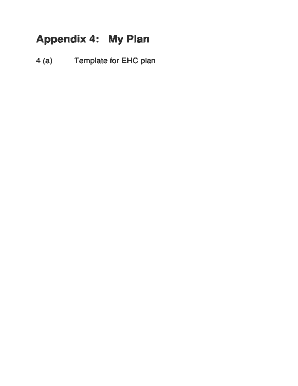 Education Health and Care Plan Template