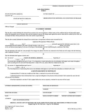 South Carolina Bail Proceeding Form