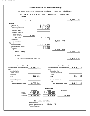 IRS Form 990-EZ Return Summary