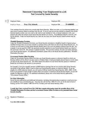 Statement Concerning Non-Social Security Employment