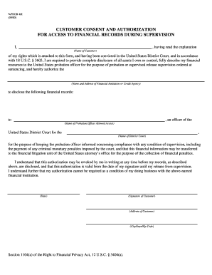 Customer Consent for Financial Records Access