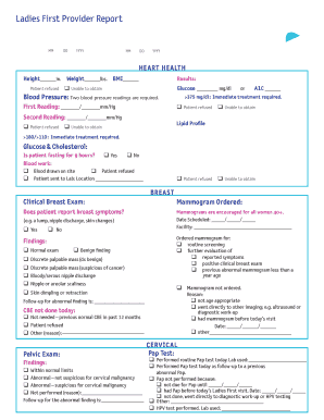 Ladies First Provider Report