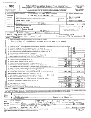 Form 990 2013 Tax Return