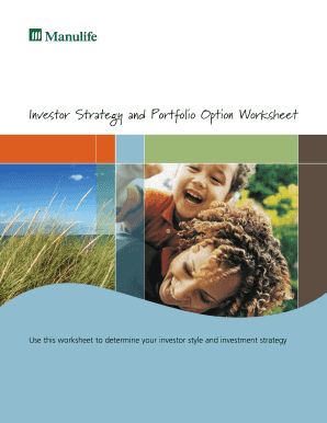 Investor Strategy and Portfolio Option Worksheet