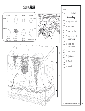 Skin Lesion Identification Form