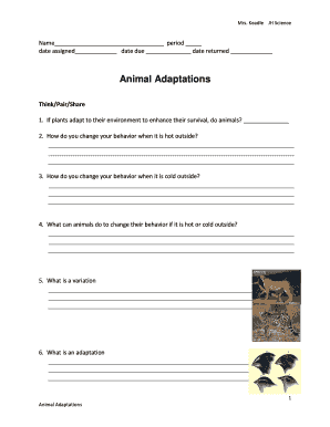 Animal Adaptations Worksheet