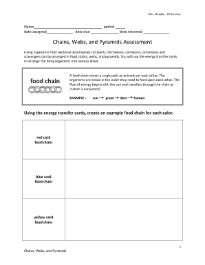 Chains, Webs, and Pyramids Assessment