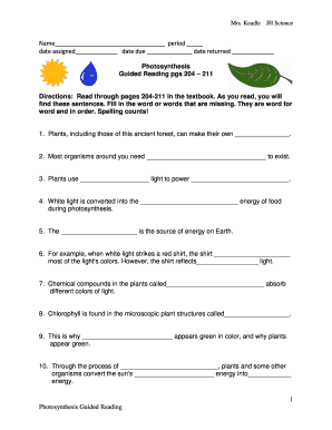 Photosynthesis Guided Reading Worksheet