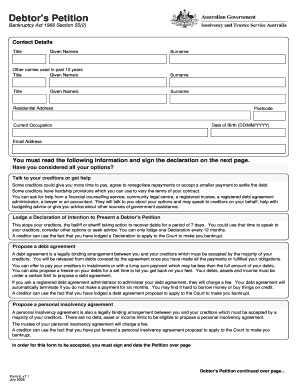 Debtor's Petition Bankruptcy Form