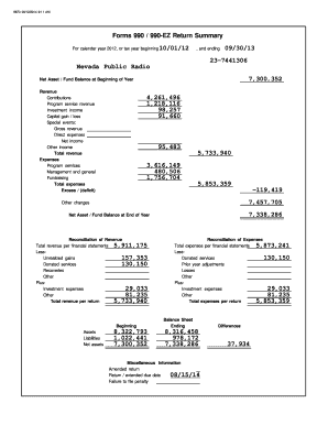 IRS Form 990 Return Summary