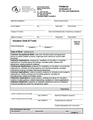 Form 6A Verification of On The Job Experience