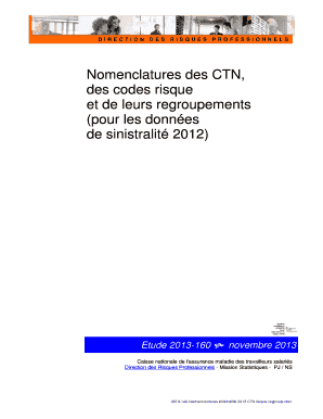 Nomenclatures des CTN des codes risque et de leurs regroupements pour les donnes de sinistralit 2012 2013-160