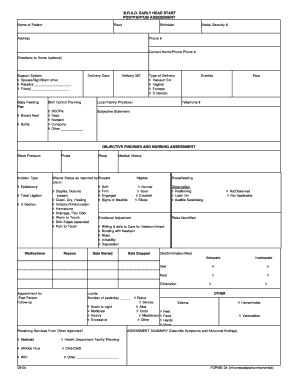 Postpartum Assessment Form