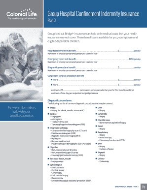 Group Medical Bridge Insurance Plan 3