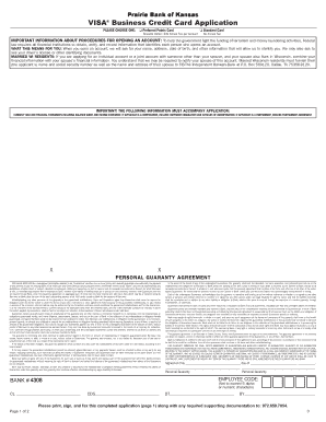 VISA Business Credit Card Application
