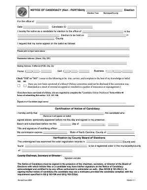 Non-Partisan Candidate Notice of Candidacy