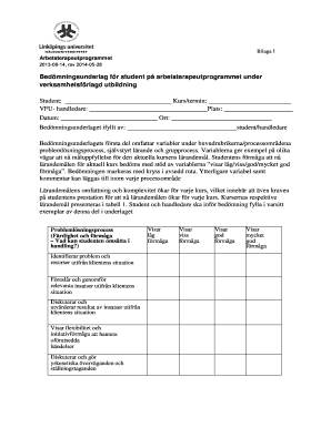Occupational Therapy Education Assessment Form