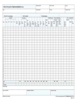 Denmark Home Visitor Service Report Form