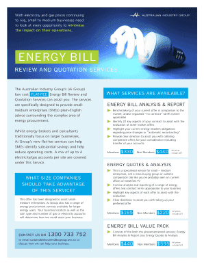 Australian Industry Group Energy Bill Review Order Form