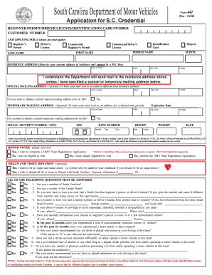 South Carolina Driver License Application