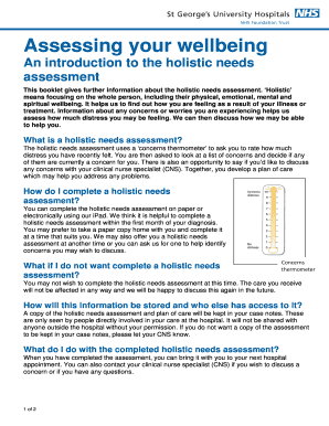 Holistic Needs Assessment Form