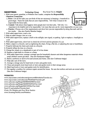 Boy Scout Handyman Activity Badge