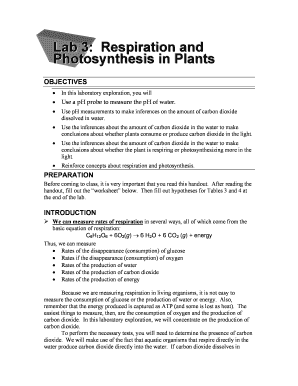 Lab 3 Respiration and Photosynthesis in Plants