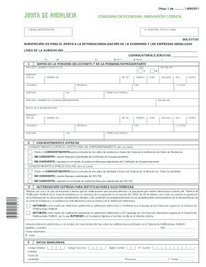 Solicitud de Subvención para la Internacionalización de la Economía y las Empresas Andaluzas