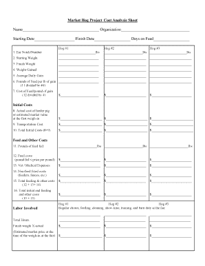 Market Hog Project Cost Analysis Sheet