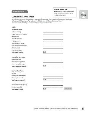 Current Balance Sheet Worksheet