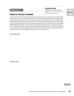 Financial Strategy Summary Worksheet