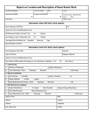 Survey Bench Mark Reset Report