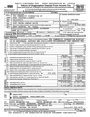 Form 990 2013 Community Foundation