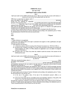 Audit Report Form 3AAA