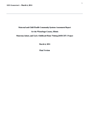 Maternal and Child Health Community Systems Assessment Report Final Version v15docx