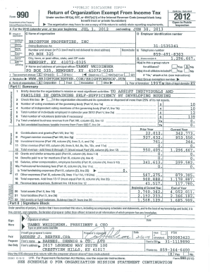 Form 990 2012 Brighton Properties Inc