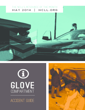 Auto Accident Guide