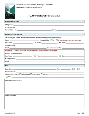 Consumer Report of Damages