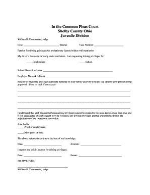 Petition for Driving Privileges for Probationary License Holders