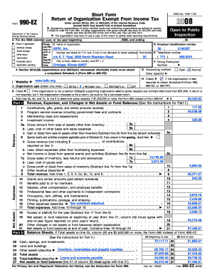 Form 990-EZ 2008
