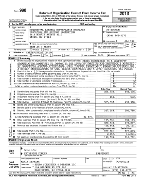 Form 990 2013