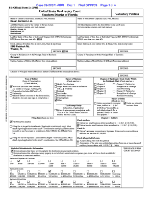 US Bankruptcy Voluntary Petition Form