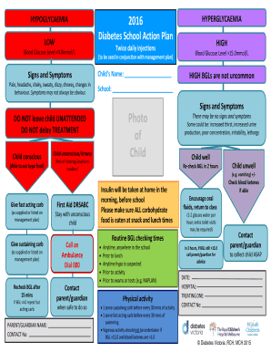 Diabetes School Action Plan