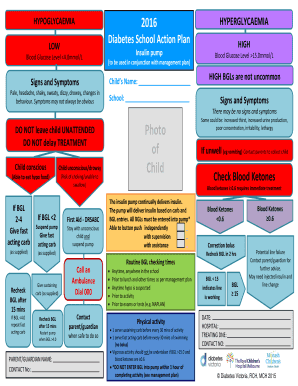 Diabetes School Action Plan