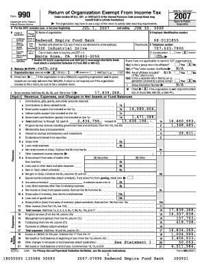 Form 990 Tax Exempt Organization Return