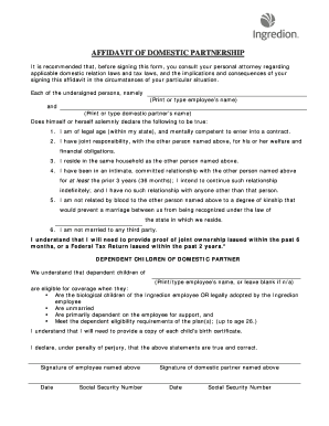 Affidavit of Domestic Partnership
