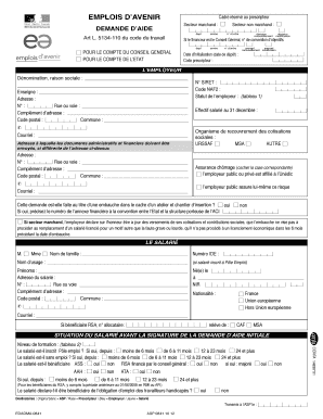 Demande d’Aide pour l’Emploi d’Avenir