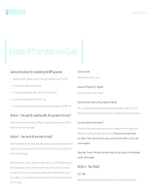 BIPS Payment Form