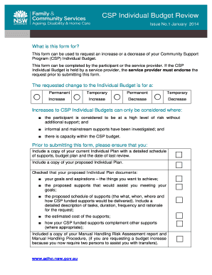 CSP Individual Budget Review Form