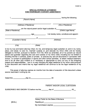 Special Power of Attorney for Temporary Custody Assignment